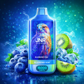 FALCON 16000 BLUEBERRY KIWI