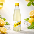 SCHWEPPES CITRON 45CL